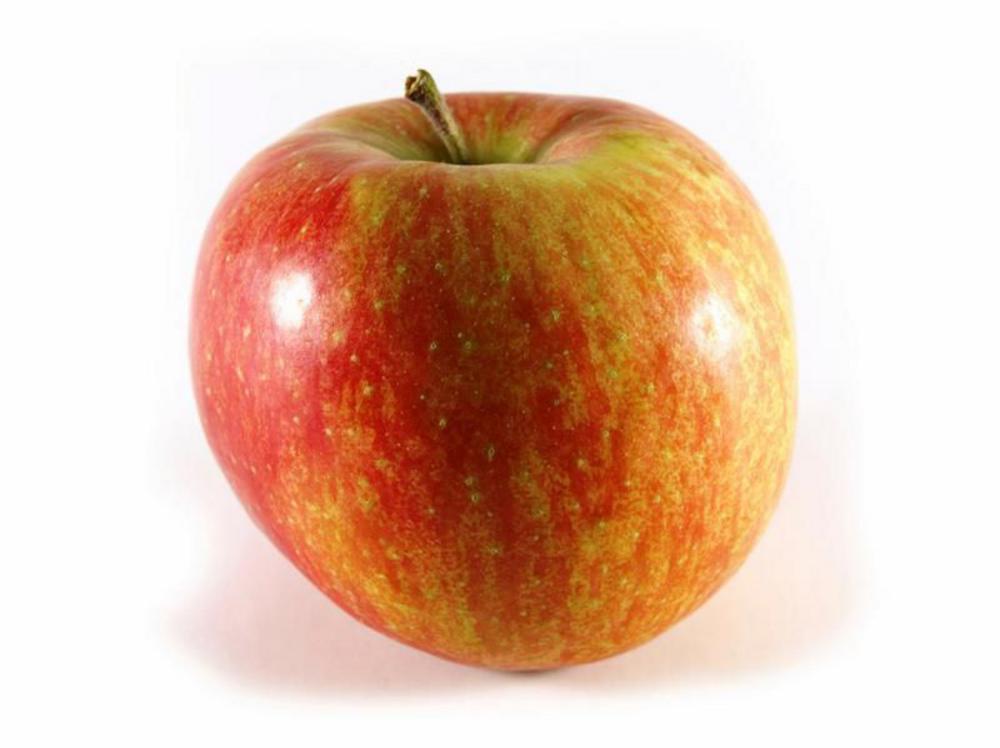 Real Foods Organic Apples Elstar